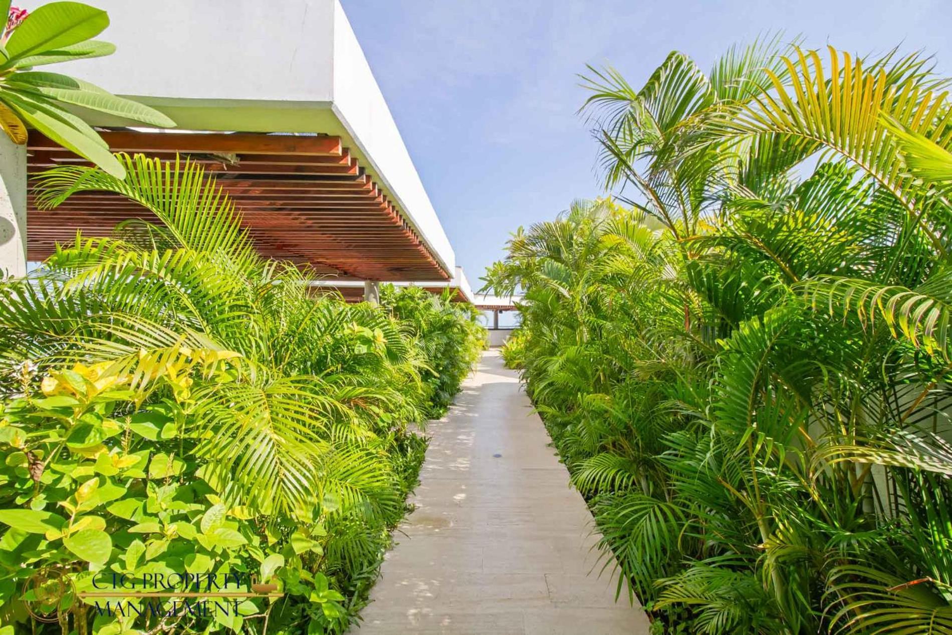 Martinique Cartagena - Apartamentos A Corta Caminata De Playa Azul מראה חיצוני תמונה